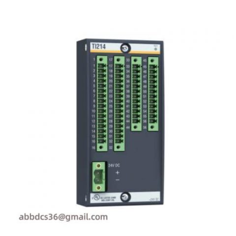 Bachmann PLC BS204, Industrial Control Systems, Processing Modules