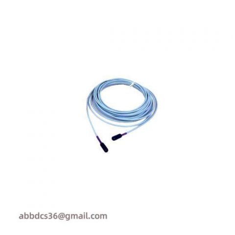 Bently Nevada 330730-080-12-CN Extension Cable