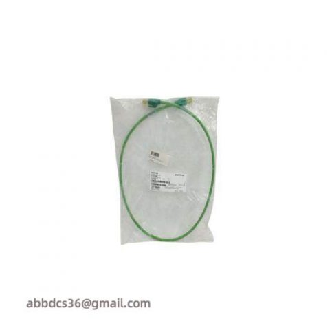 Siemens SMP-E217 Industrial Control Module