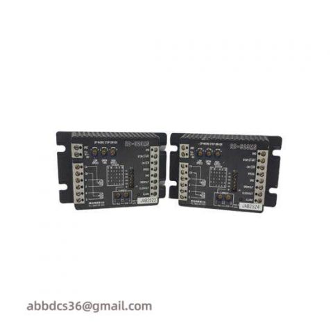 RORZE RD-021M8: Industrial Automation Control Module