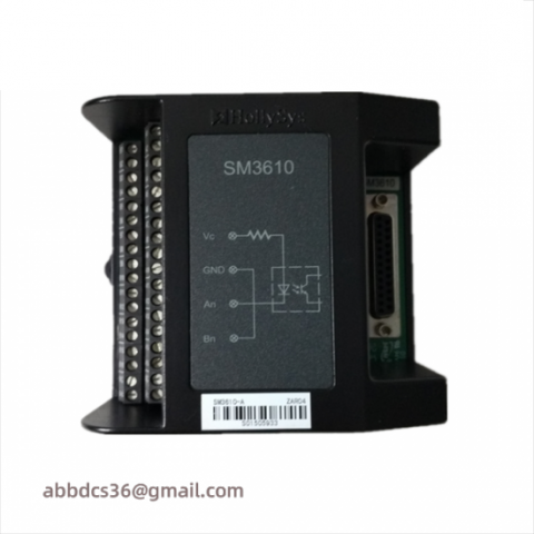 HollySys FM161D-48 Switch Input Module - High-Performance, 48-Channel, Digital Input for Industrial Automation